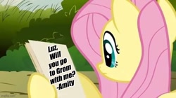 Size: 720x404 | Tagged: safe, derpibooru import, edit, edited screencap, screencap, fluttershy, pegasus, pony, putting your hoof down, exploitable meme, female, meme, paper, solo, spoilers for another series, template, the owl house