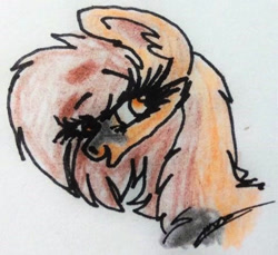 Size: 477x437 | Tagged: safe, artist:beamybutt, derpibooru import, oc, oc only, earth pony, pony, bust, earth pony oc, eyelashes, female, mare, signature, solo, traditional art