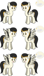 Size: 1920x3271 | Tagged: safe, artist:alexdti, derpibooru import, oc, oc:swan dive, pegasus, pony, female, mare, simple background, solo, transparent background