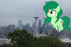 Size: 2048x1364 | Tagged: safe, artist:sirmlp1, derpibooru import, wallflower blush, pony, cloud, cloudy, female, giant pony, giantess, highrise ponies, irl, macro, photo, ponies in real life, ponified, seattle, washington