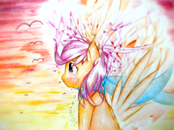 Size: 1920x1440 | Tagged: safe, artist:stardust0130, derpibooru import, scootaloo, pegasus, pony, crying, female, filly, sad, solo, wings