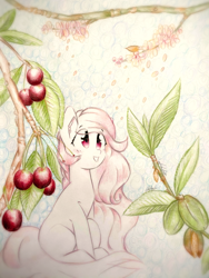 Size: 1920x2560 | Tagged: safe, artist:stardust0130, derpibooru import, oc, oc only, pegasus, pony, female, mare, solo