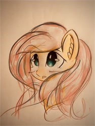 Size: 3024x4032 | Tagged: safe, artist:stardust0130, derpibooru import, fluttershy, pegasus, pony, blushing, cute, daaaaaaaaaaaw, female, mare, shyabetes, solo