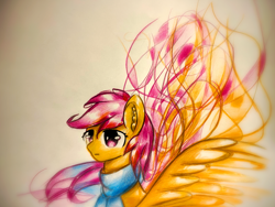 Size: 1920x1440 | Tagged: safe, artist:stardust0130, derpibooru import, scootaloo, pegasus, pony, clothes, female, filly, scarf, solo