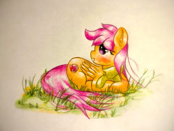 Size: 1920x1440 | Tagged: safe, artist:stardust0130, derpibooru import, scootaloo, pegasus, pony, blushing, clothes, cute, cutealoo, female, filly, scarf, solo