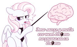 Size: 1280x791 | Tagged: safe, artist:petruse4ka, derpibooru import, oc, oc only, pegasus, pony, brain, cyrillic, eyelashes, female, mare, necktie, organs, pegasus oc, pointing, russian, simple background, solo, talking, unamused, vulgar, white background, wings