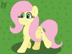 Size: 1600x1200 | Tagged: safe, artist:jay_wackal, derpibooru import, fluttershy, pegasus, pony, cute, daaaaaaaaaaaw, shyabetes, solo, walking