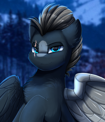 Size: 2582x3003 | Tagged: safe, artist:pridark, derpibooru import, oc, oc only, pegasus, pony, amputee, artificial wings, augmented, blue eyes, commission, eye scar, high res, lidded eyes, looking at you, male, night, night sky, pegasus oc, prosthetic limb, prosthetic wing, prosthetics, scar, sky, smiling, smiling at you, stallion, wings