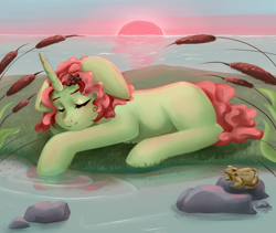 Size: 4500x3800 | Tagged: safe, artist:rinamoony, derpibooru import, oc, oc only, frog, pony, unicorn, cattails, eyes closed, female, lake, river, scenery, sleeping, solo, sunset, water