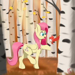 Size: 1280x1280 | Tagged: safe, artist:joaothejohn, derpibooru import, fluttershy, bird, pegasus, pony, birch, forest, solo