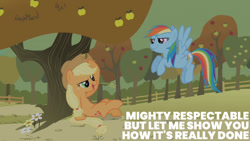 Size: 1280x720 | Tagged: safe, derpibooru import, edit, edited screencap, editor:quoterific, screencap, applejack, rainbow dash, earth pony, pegasus, pony, fall weather friends, season 1, apple, apple tree, applejack's hat, clothes, cowboy hat, female, flying, hat, looking at each other, mare, open mouth, open smile, smiling, smiling at each other, smirk, tree