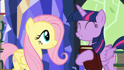 Size: 1920x1080 | Tagged: safe, derpibooru import, screencap, fluttershy, twilight sparkle, twilight sparkle (alicorn), alicorn, pegasus, pony, season 5, the hooffields and mccolts, book, duo, duo female, eyes closed, female, mare