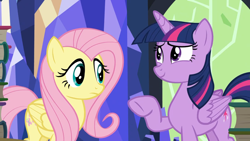 Size: 1920x1080 | Tagged: safe, derpibooru import, screencap, fluttershy, twilight sparkle, twilight sparkle (alicorn), alicorn, pegasus, pony, season 5, the hooffields and mccolts, book, duo, duo female, female, mare