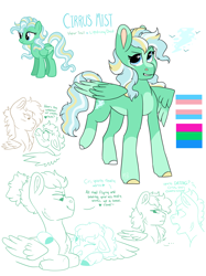 Size: 2048x2732 | Tagged: safe, artist:moccabliss, derpibooru import, oc, oc only, oc:cirrus mist, oc:cloud spriit, oc:sona shy, pegasus, pony, female, mare, offspring, parent:rainbow dash, parent:sky stinger, parent:vapor trail, parent:zephyr breeze, parents:derpyshy, parents:vaporsky, parents:zephdash, pride, pride flag