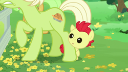 Size: 1280x720 | Tagged: safe, derpibooru import, screencap, bright mac, granny smith, earth pony, pony, season 7, the perfect pear, :o, baby, baby pony, brightabetes, colt, cute, female, male, mare, offscreen character, open mouth