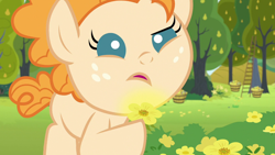 Size: 1280x720 | Tagged: safe, derpibooru import, screencap, pear butter, earth pony, pony, season 7, the perfect pear, baby, baby pony, female, filly, flower, food, open mouth, pear, solo, tree