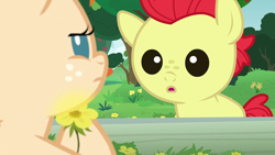 Size: 1280x720 | Tagged: safe, derpibooru import, screencap, bright mac, pear butter, earth pony, pony, season 7, the perfect pear, :o, baby, baby pony, brightabetes, colt, cute, female, fence, filly, flower, male, open mouth, tree