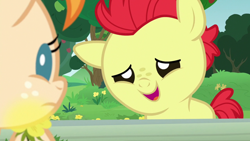 Size: 1280x720 | Tagged: safe, derpibooru import, screencap, bright mac, pear butter, earth pony, pony, season 7, the perfect pear, baby, baby pony, brightabetes, colt, cute, female, fence, filly, flower, male, open mouth, smiling