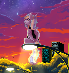 Size: 2767x2921 | Tagged: safe, artist:mediasmile666, derpibooru import, oc, oc only, pegasus, pony, building, cloud, evening, female, looking up, mare, night, night sky, shooting star, sitting, sky, solo, streetlight, tree