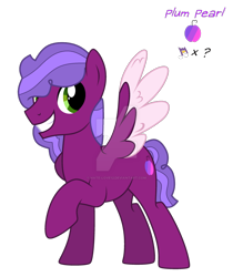 Size: 1280x1523 | Tagged: safe, artist:hate-love12, derpibooru import, oc, oc:plum pearl, pegasus, pony, deviantart watermark, male, obtrusive watermark, simple background, solo, stallion, transparent background, two toned wings, watermark, wings