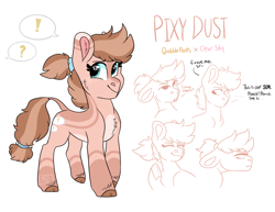 Size: 2220x1717 | Tagged: safe, artist:moccabliss, derpibooru import, oc, oc:pixy dust, earth pony, pony, female, offspring, parent:clear sky, parent:quibble pants, parents:quibblesky, solo, teenager
