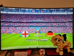 Size: 2048x1536 | Tagged: safe, artist:xeto_de, oc, oc:wingblossom, england, euro 2020, germany, plushie