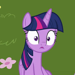 Size: 1080x1080 | Tagged: safe, derpibooru import, screencap, twilight sparkle, twilight sparkle (alicorn), alicorn, pony, fame and misfortune, season 7, cropped, female, mare, open mouth, shocked, solo