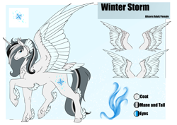 Size: 4961x3508 | Tagged: safe, artist:oneiria-fylakas, derpibooru import, oc, oc:winter storm, alicorn, pony, female, mare, reference sheet, solo