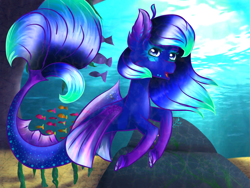 Size: 800x600 | Tagged: safe, artist:miracrystalsketch, derpibooru import, oc, oc only, fish, merpony, pegasus, pony, seapony (g4), blue mane, blue tail, dorsal fin, ear fluff, ears, eyelashes, female, fin wings, fins, flowing mane, flowing tail, looking at you, ocean, open mouth, rock, seaponified, seaweed, smiling, solo, species swap, sunlight, swimming, tail, underwater, water, wings