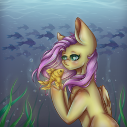 Size: 500x500 | Tagged: safe, artist:gbsal777, artist:saltyvity, derpibooru import, fluttershy, fish, pegasus, pony, blushing, bubble, crepuscular rays, eyelashes, female, flowing mane, folded wings, glow, green eyes, looking at each other, ocean, pink mane, seaweed, solo, sunlight, swimming, underwater, water, wings