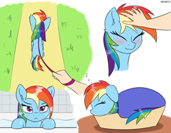 Size: 1900x1473 | Tagged: safe, artist:irisarco, derpibooru import, rainbow dash, human, pegasus, pony, :3, :<, basket, bathroom, bathtub, blanket, blushing, cropped, cute, cutie mark, dashabetes, day, desk, dialogue, dock, ear fluff, ears, eyes closed, female, floppy ears, frown, grass, head pat, human on pony petting, indoors, leash, lidded eyes, looking at you, lying down, mare, offscreen character, offscreen human, onomatopoeia, outdoors, pat, path, pet bed, pet-dash, petting, pony pet, pov, sleeping, smiling, sound effects, tail, unamused, walking, water, watermark, wet, wings, zzz