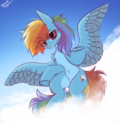 Size: 1000x1024 | Tagged: safe, artist:hydrargyrum, derpibooru import, rainbow dash, pegasus, pony, chest fluff, cloud, looking at you, pale belly, shoulder fluff, solo, spread wings, underhoof, wings