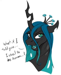 Size: 785x966 | Tagged: safe, artist:acesential, artist:tf-sential, queen chrysalis, looking at you, post-transformation, simple background, transformation, white background