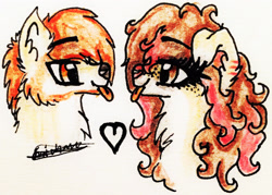 Size: 2249x1609 | Tagged: safe, artist:beamybutt, derpibooru import, oc, oc only, earth pony, pony, wolf, :p, bust, chest fluff, duo, ear fluff, ears, earth pony oc, eyelashes, female, heart, mare, signature, tongue, tongue out, traditional art