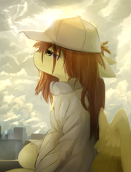 Size: 1900x2500 | Tagged: safe, artist:ssnerdy, derpibooru import, oc, oc only, pegasus, pony, cap, city, clothes, ears, floppy ears, hat, lidded eyes, sitting, sweater