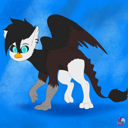 Size: 1280x1280 | Tagged: safe, artist:joaothejohn, derpibooru import, griffon, griffon oc, solo