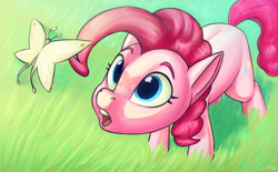 Size: 3700x2300 | Tagged: safe, artist:silverhopexiii, derpibooru import, pinkie pie, butterfly, earth pony, pony, cute, diapinkes, female, high res, looking at something, mare, open mouth, overhead view, solo