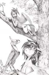 Size: 950x1461 | Tagged: safe, artist:baron engel, derpibooru import, oc, oc:iridescent, oc:sky shatter, pegasus, phoenix, crying, duo, female, looking down, looking up, lying down, male, mare, monochrome, pencil drawing, stallion, traditional art, tree, wings