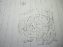 Size: 1024x768 | Tagged: safe, artist:chyoatas, derpibooru import, oc, oc only, earth pony, pony, bust, earth pony oc, lineart, lined paper, smiling, solo, traditional art