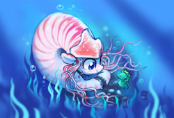 Size: 3074x2092 | Tagged: safe, artist:dawnfire, oc, oc only, oc:nautila, original species, seahorse, air bubble, bubble, cute, female, freckles, looking at each other, looking at something, nautilus, nautilus pony, smiling, solo, underwater