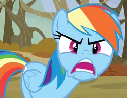 Size: 814x630 | Tagged: safe, derpibooru import, edit, edited screencap, screencap, rainbow dash, pegasus, pony, season 5, tanks for the memories, angry, cropped, female, looking at you, mare, open mouth, rainbow dash is best facemaker, solo, teeth