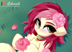 Size: 2800x2000 | Tagged: safe, artist:xsatanielx, derpibooru import, roseluck, earth pony, pony, blushing, chest fluff, collar, cute, cuteluck, ear fluff, ears, featured image, female, floppy ears, flower, high res, lying down, mare, on back, rose, rosepet, solo