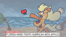 Size: 1920x1080 | Tagged: safe, artist:threetwotwo32232, derpibooru import, applejack, earth pony, pony, apple, bipedal, breaking news, female, florida, florida man, food, hurricane, island, mare, open mouth, rain, solo, wind