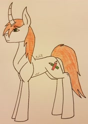 Size: 2469x3490 | Tagged: safe, artist:agdapl, derpibooru import, oc, oc only, pony, unicorn, female, horn, mare, signature, solo, traditional art, unicorn oc