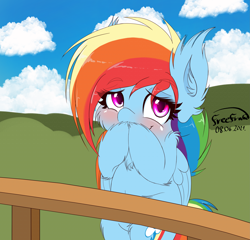 Size: 3649x3499 | Tagged: safe, artist:freefraq, derpibooru import, rainbow dash, pegasus, pony, bipedal, blushing, cheek fluff, chest fluff, cute, dashabetes, ear fluff, ears, female, fence, fluffy, happy, looking at you, mare, simple background, smiling, solo, weapons-grade cute