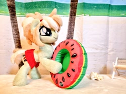 Size: 1024x768 | Tagged: safe, artist:xeto_de, derpibooru import, oc, oc:milli, beach, eponafest, food, irl, photo, plushie, watermelon