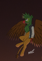Size: 6814x9834 | Tagged: safe, artist:summerium, derpibooru import, oc, oc only, oc:kalimu, griffon, absurd file size, absurd resolution, beak, clothes, flying, griffon oc, looking up, male, night, night sky, sky, smiling, solo, talons, wings