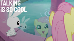 Size: 1280x720 | Tagged: safe, derpibooru import, edit, edited screencap, editor:quoterific, screencap, angel bunny, fluttershy, pegasus, pony, rabbit, season 9, she talks to angel, angelbetes, animal, body swap, cute, duo, female, fountain, male, mare, open mouth, reflection, role reversal, shyabetes, smiling, tongue, tongue out