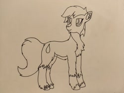 Size: 1446x1080 | Tagged: safe, artist:autumnsfurart, derpibooru import, oc, oc only, earth pony, pony, chest fluff, earth pony oc, looking back, solo, traditional art, unshorn fetlocks