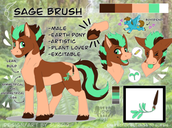 Size: 2732x2048 | Tagged: safe, artist:sursiq, derpibooru import, oc, oc:carbon, oc:sagebrush, earth pony, pony, closed mouth, cute, cutie mark, earth pony oc, eyes closed, eyes open, frog (hoof), green eyes, male, multicolored hair, multicolored mane, multicolored tail, oc x oc, open mouth, pony oc, reference sheet, shipping, standing, underhoof, watermark, wings